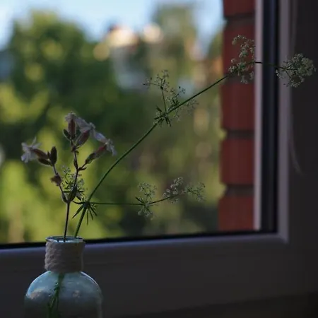 Vasaros Apartamentai Rueda * Клайпеда